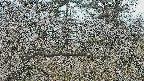 area3-20250320113118.jpg