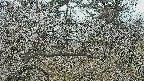 area3-20250320114122.jpg