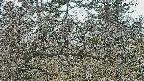 area3-20250320120121.jpg