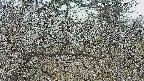 area3-20250320121118.jpg