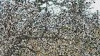 area3-20250320122119.jpg