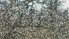 area3-20250320124118.jpg