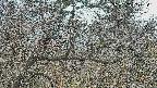 area3-20250320130122.jpg