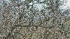 area3-20250320131121.jpg