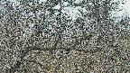 area3-20250320132119.jpg