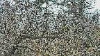area3-20250320133120.jpg