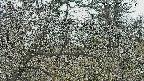 area3-20250320134119.jpg