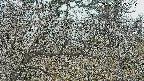 area3-20250320135122.jpg