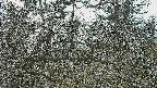 area3-20250320140118.jpg