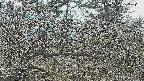 area3-20250320142122.jpg