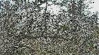 area3-20250320144120.jpg
