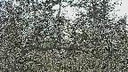 area3-20250320145118.jpg