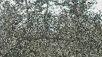area3-20250320150118.jpg
