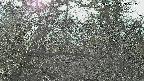area3-20250320152119.jpg