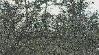 area3-20250320153122.jpg