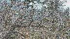 area3-20250320155120.jpg