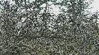 area3-20250320161116.jpg