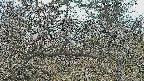 area3-20250320162119.jpg
