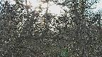 area3-20250320163119.jpg