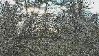 area3-20250320164122.jpg
