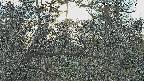 area3-20250320165121.jpg