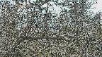 area3-20250320171118.jpg