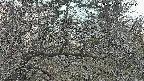 area3-20250320174119.jpg