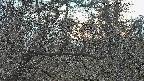 area3-20250320175117.jpg