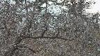 area3-20250320180119.jpg