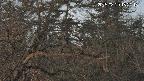 area3-20250320182117.jpg