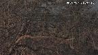 area3-20250320183117.jpg