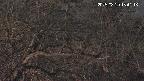 area3-20250320184118.jpg