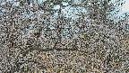 area3-20250321064120.jpg