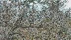 area3-20250321065122.jpg