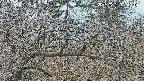 area3-20250321074117.jpg