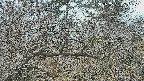 area3-20250321083120.jpg