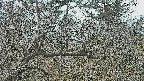 area3-20250321090122.jpg