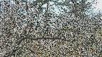 area3-20250321091117.jpg