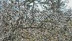 area3-20250321094117.jpg