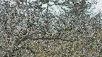 area3-20250321103121.jpg