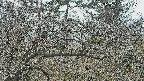 area3-20250321111117.jpg
