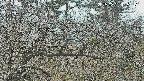 area3-20250321115117.jpg