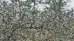 area3-20250321120119.jpg