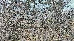 area3-20250321123119.jpg