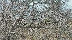 area3-20250321130119.jpg