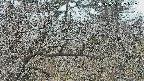 area3-20250321132119.jpg