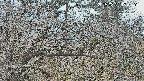 area3-20250321134122.jpg