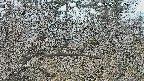 area3-20250321150120.jpg