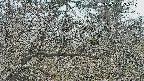area3-20250321155120.jpg