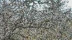 area3-20250321162121.jpg